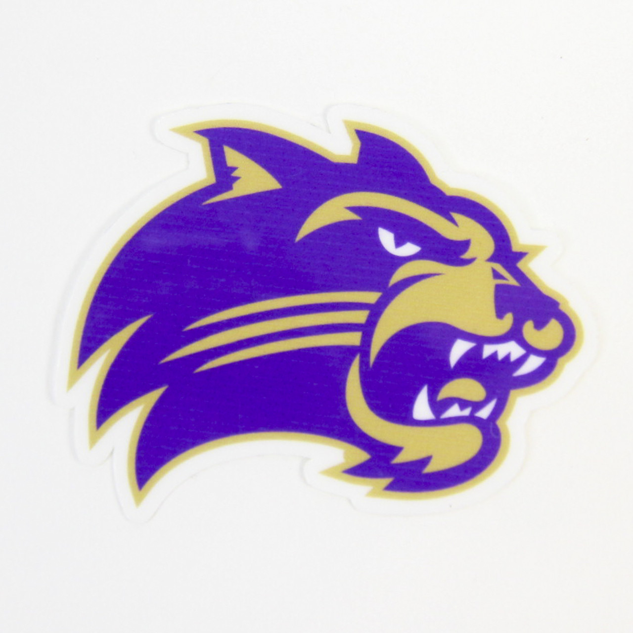 Western Carolina Catamounts